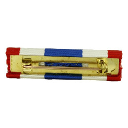 Barrette Dixmude Protection Militaire du Territoire (vue arrière)