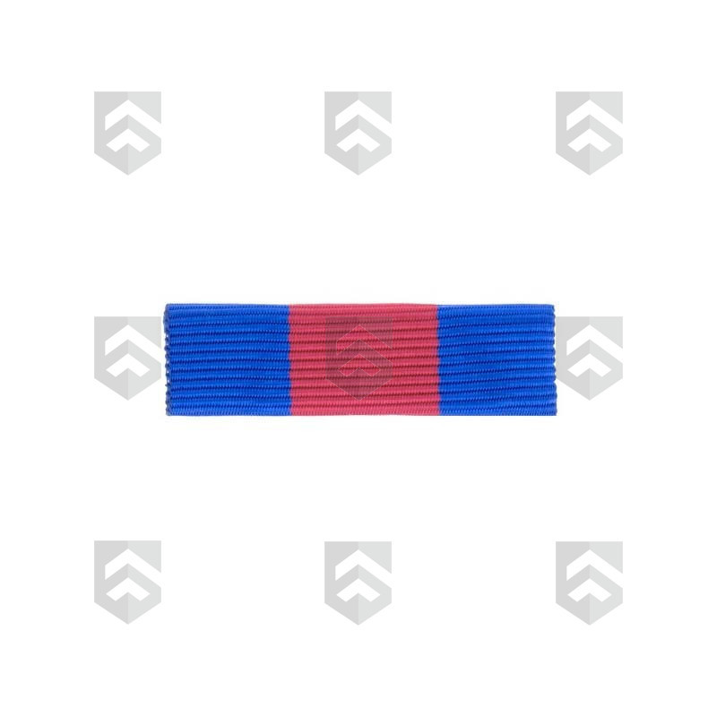 Barrette Dixmude Services Militaires Volontaires Bronze