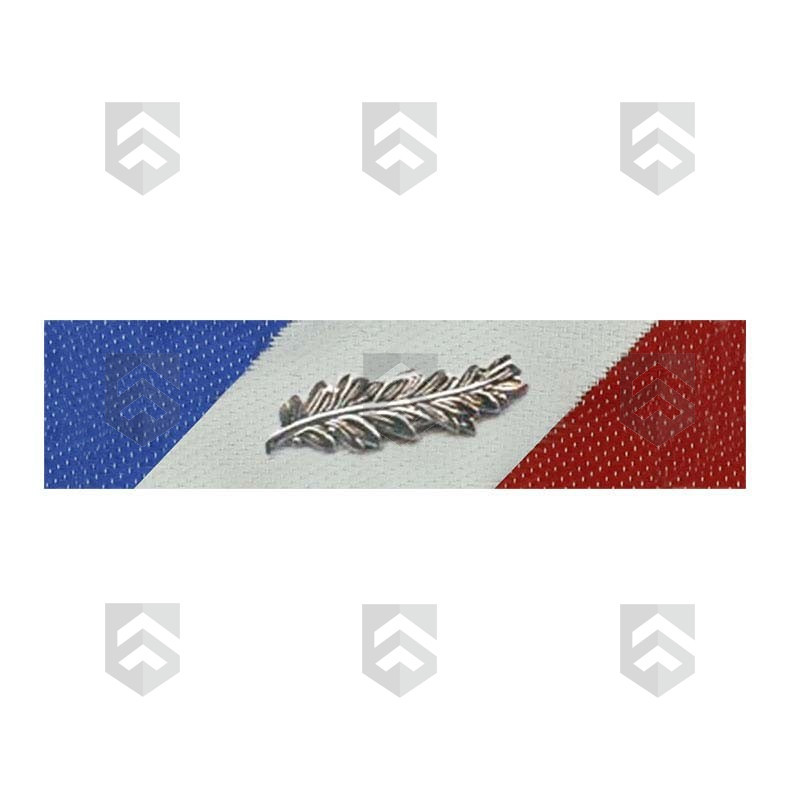 Barrette Dixmude Sécurité Intérieure Argent