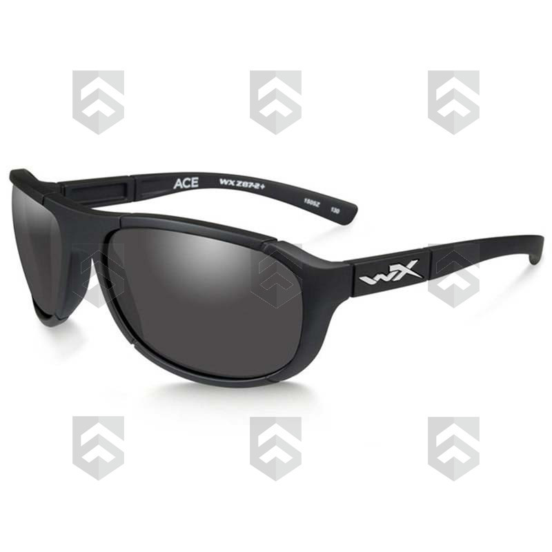 Lunettes Balistiques Ace WILEY X Black Ops Verres Gris Fumés