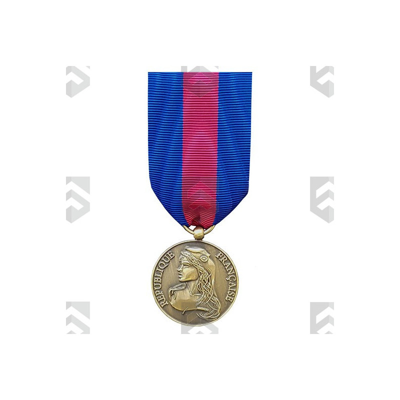 Médaille des Réservistes Volontaires de Défense et de Sécurité Intérieure Bronze + Agrafe