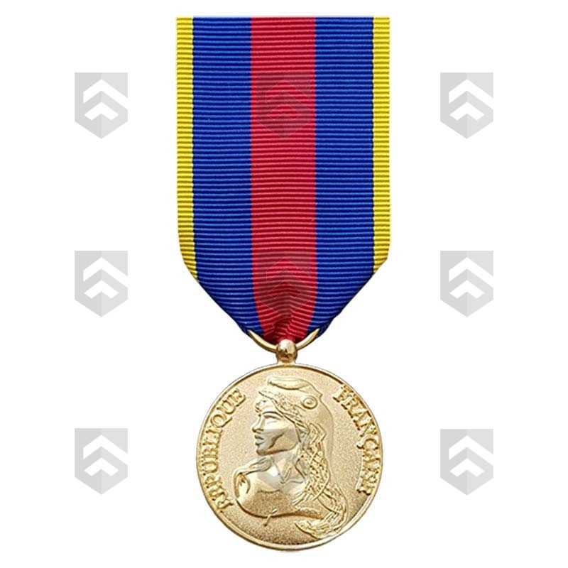 Médaille des Réservistes Volontaires de Défense et de Sécurité Intérieure Or + Agrafe