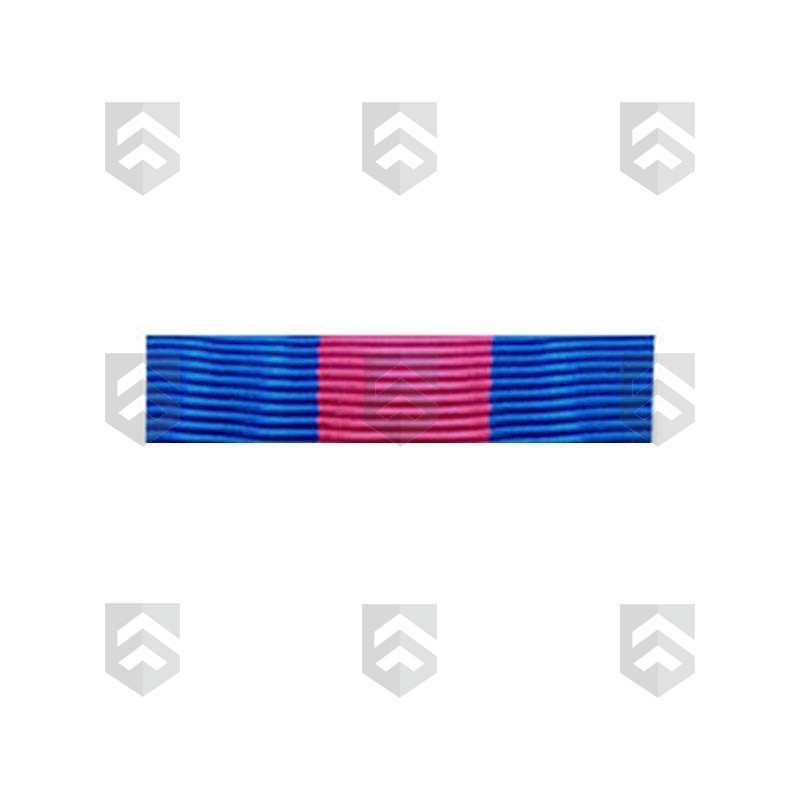 Barrette Dixmude des Réservistes Volontaires de Défense et de Sécurité Intérieure Bronze + Agrafe
