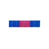 Barrette Dixmude des Réservistes Volontaires de Défense et de Sécurité Intérieure Bronze + Agrafe