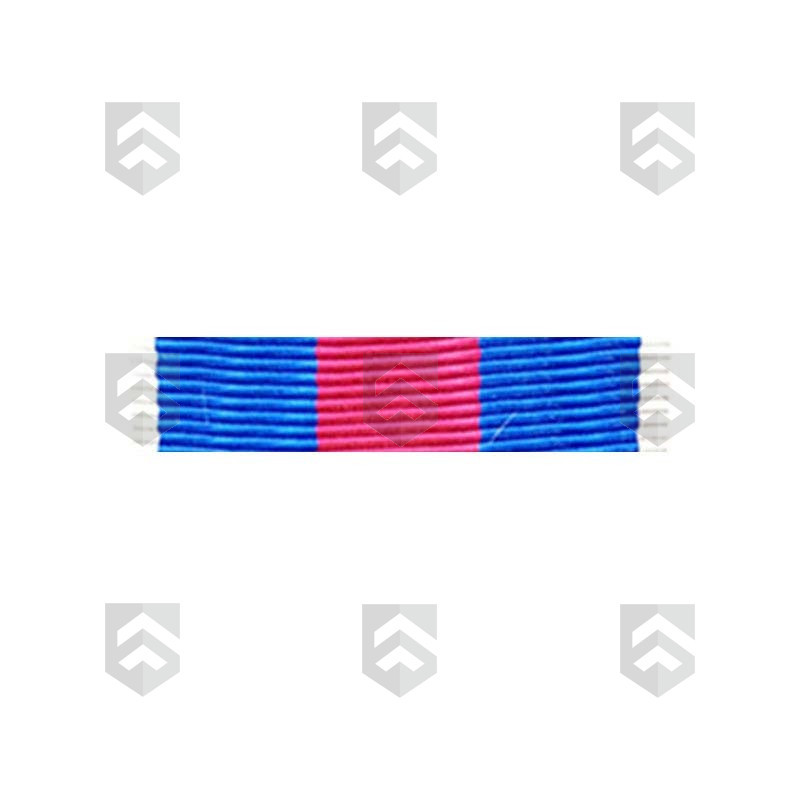 Barrette Dixmude des Réservistes Volontaires de Défense et de Sécurité Intérieure Argent + Agrafe