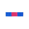 Barrette Dixmude des Réservistes Volontaires de Défense et de Sécurité Intérieure Argent + Agrafe