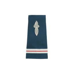 Fourreaux d'épaules CRS Souples Brodés sur Drap Bleu (x2)