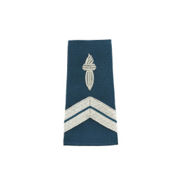 Fourreaux d'épaules CRS Souples Brodés sur Drap Bleu (x2)