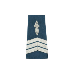Fourreaux d'épaules CRS Souples Brodés sur Drap Bleu (x2)