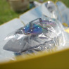 Cuiseur solaire pliable SUNGOOD Solar Brother
