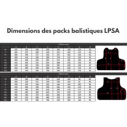 Gilet Pare-Balles Tactique Dos Velcro PM LPSA