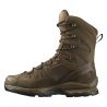 Chaussures SALOMON QUEST 4D FORCES HIGH Gore-Tex Marron
