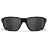 Lunettes Balistiques Aspect Wiley X Black Ops Verres Gris Fumés