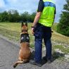 Harnais pour Chien d'assaut DRAKKEN Diesel Dimatex Noir