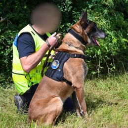 Harnais pour Chien d'assaut DRAKKEN Diesel Dimatex Noir