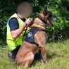 Harnais pour Chien d'assaut DRAKKEN Diesel Dimatex Noir