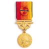 Médaille d'Honneur des Sapeurs Pompiers Services Exceptionnels Vermeil