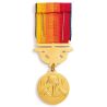 Médaille d'Honneur des Sapeurs Pompiers Services Exceptionnels Vermeil