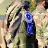 Ecusson Bleuet de France brodé