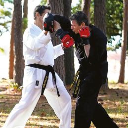 Gants de boxe Brave Century