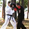 Gants de boxe Brave Century