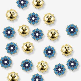 Pin's Bleuet de France