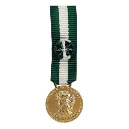 Médaille d'Honneur Regionale, Départementale et Communlae 35 ans Bronze Doré