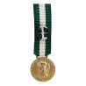 Médaille d'Honneur Regionale, Départementale et Communlae 35 ans Bronze Doré