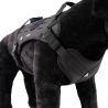 Harnais pour Chien d'assaut TRAK Dimatex Noir