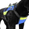 Harnais pour Chien de recherche et de sauvetage DRAKKEN 3 Dimatex Bleu