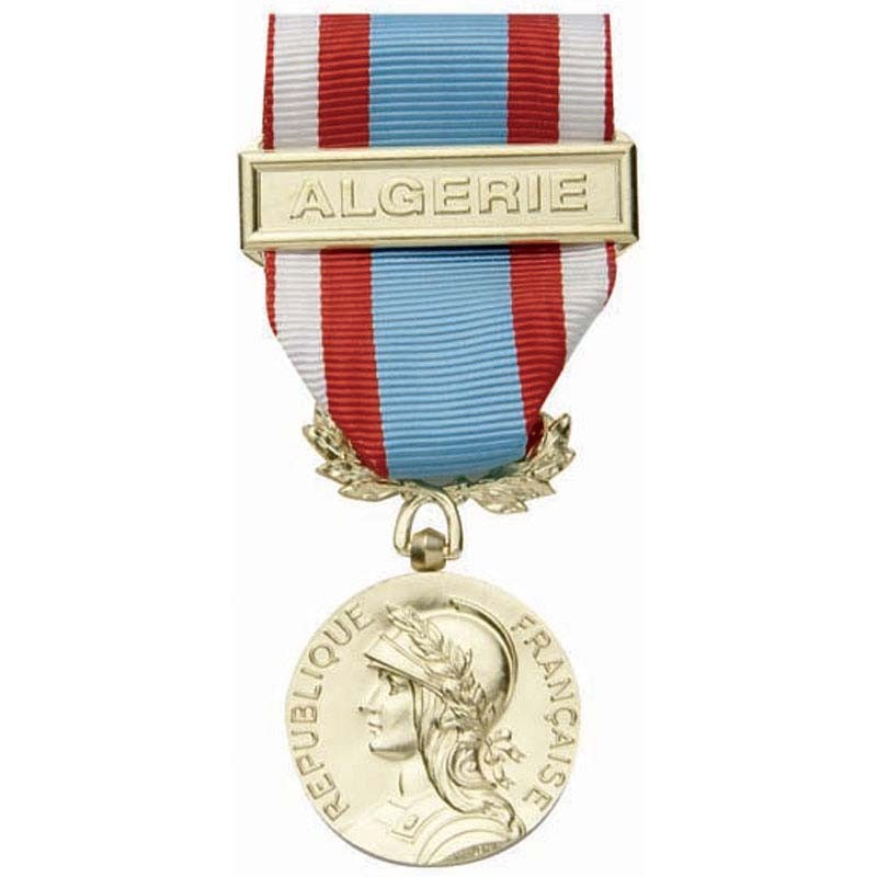 Médaille Du Mérite De L'Afrique Noire - DEC5791 | Décoration Française Historique | Modèle Occasion Collection