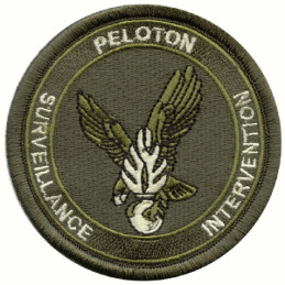 Ecussons de Spécialités P.S.I.G Brodés