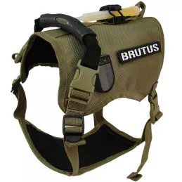 Harnais pour Chien de recherche et de sauvetage DRAKKEN Dimatex Coyote
