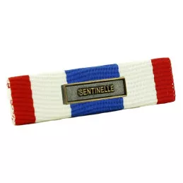 Barrette Dixmude Protection Militaire du Territoire + Agrafe Sentinelle