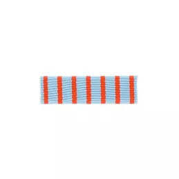 Barrette Dixmude Croix du Combattant