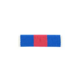 Barrette Dixmude Services Militaires Volontaires Argent