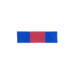 Barrette Dixmude Services Militaires Volontaires Bronze