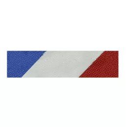 Barrette Dixmude Sécurité Intérieure Bronze