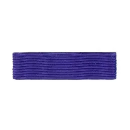 Barrette Dixmude Palmes Académique