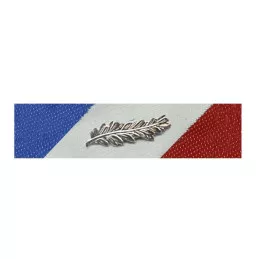 Barrette Dixmude Sécurité Intérieure Argent
