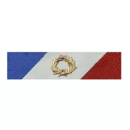 Barrette Dixmude Sécurité Intérieure Or