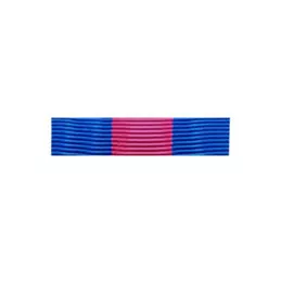 Barrette Dixmude des Réservistes Volontaires de Défense et de Sécurité Intérieure Bronze + Agrafe