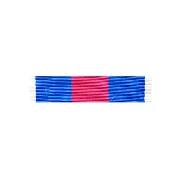 Barrette Dixmude des Réservistes Volontaires de Défense et de Sécurité Intérieure Argent + Agrafe