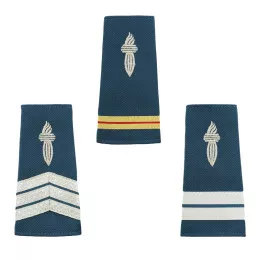 Fourreaux d'épaules CRS Souples Brodés sur Drap Bleu (x2)