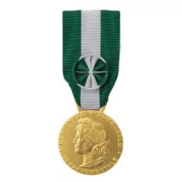 Médaille d'Honneur Regionale, Départementale et Communale 35 ans Bronze Doré