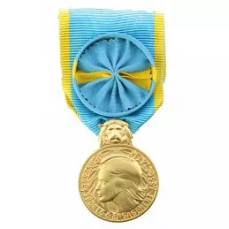 Médaille de la Jeunesse et des sports - Or