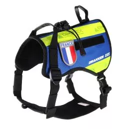 Harnais pour Chien de recherche et de sauvetage DRAKKEN 3 Dimatex Bleu