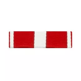Barrette Dixmude Croix de la Valeur Militaire
