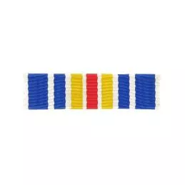 Barrette Dixmude Blessé Militaire