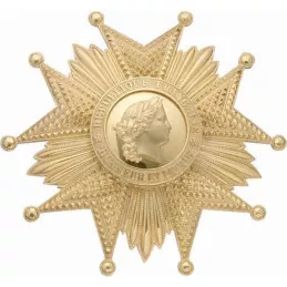 Ordre de la Légion d'Honneur - Grand Croix - Plaque